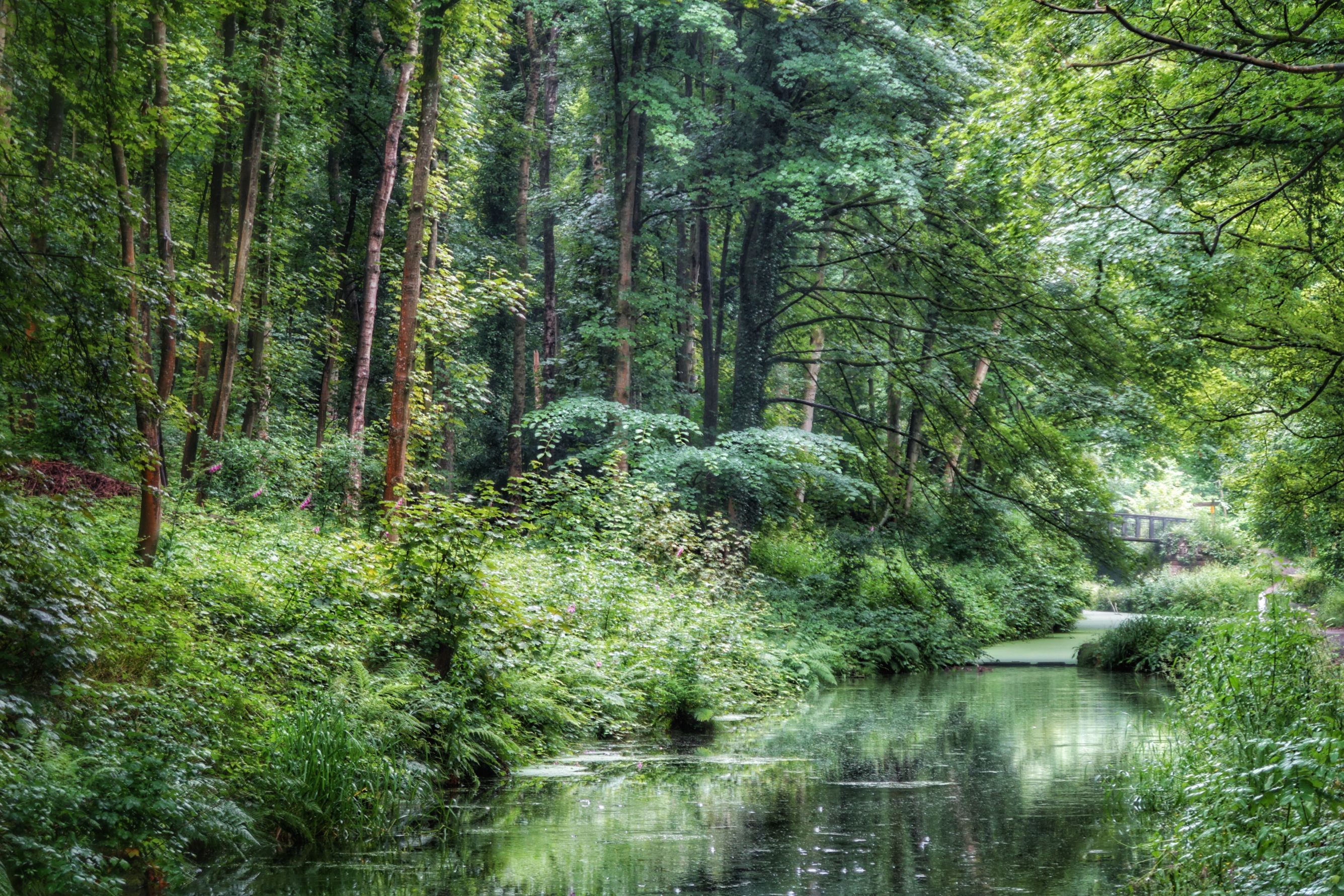 The Cromford Canal at Whatstandwell, Derbyshire