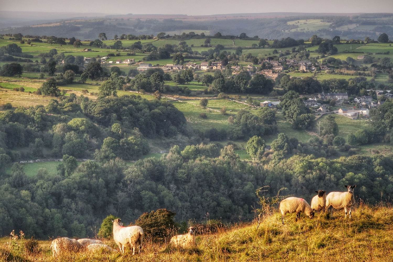 Golden glow on Middleton Moor