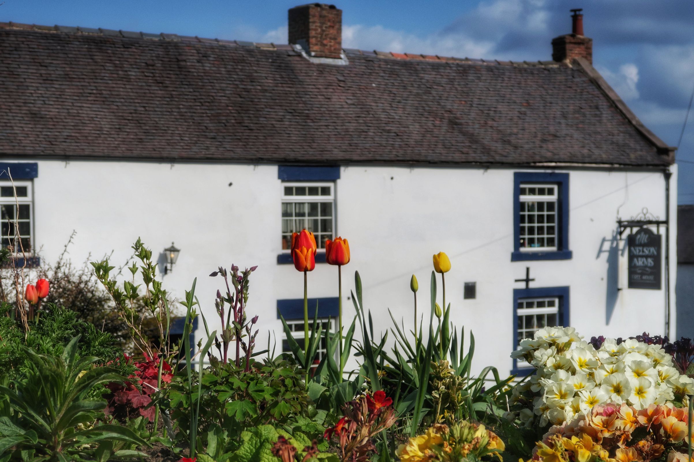 The Nelson Arms, Middleton by Wirksworth